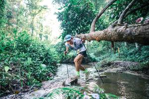 BIB: 
                            <button type="button" onclick="openModal(25433418)" class="btn btn-primary btn-sm float-right btn-popup" data-toggle="modal" data-target=".modal-high-quality">
                        <i class="fas fa-shopping-cart"></i> Add to Cart
                    </button>
                                            <button type="button" onclick="isThisMe(25433418, true)" class="btn btn-success btn-sm float-right btn-popup btn-isme hidden" data-toggle="tooltip" data-placement="bottom" title="นี่คือรูปของคุณใช่ไหม คลิกที่นี่เพื่อเอาเข้าอัลบั้ม">
                        <i class="fas fa-plus"></i> Add to album
                    </button>
                    <button type="button" onclick="isThisMe(25433418, false)" class="btn btn-warning btn-sm float-right btn-popup btn-isnotme hidden">
                        <i class="fas fa-ban"></i> Remove from album
                    </button>